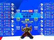 开云官方app入口-德约科维奇能重回CBA四强引热议，一场关于热爱、跨界与体育精神的全民想象